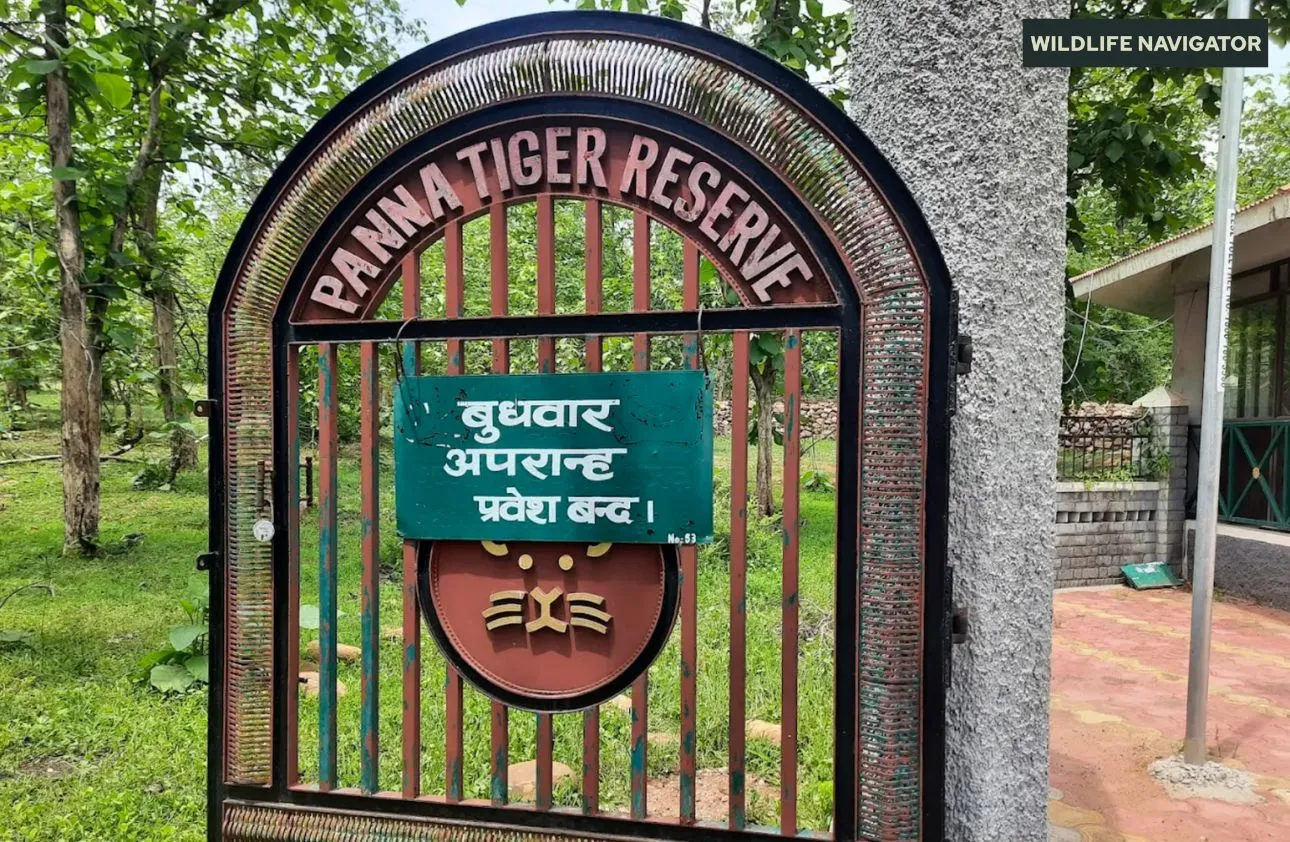 Panna National Park