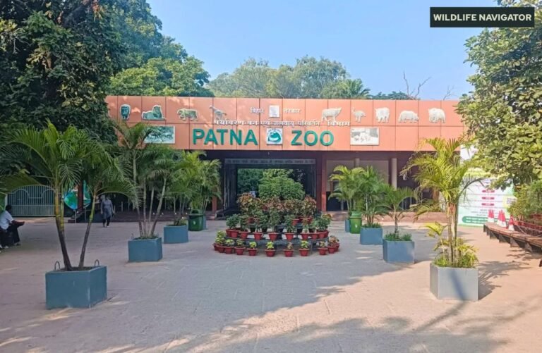 Patna Zoo, aka Sanjay Gandhi Biological Park