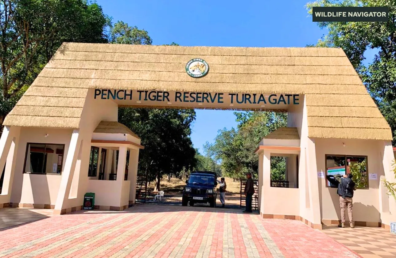 Pench National Park