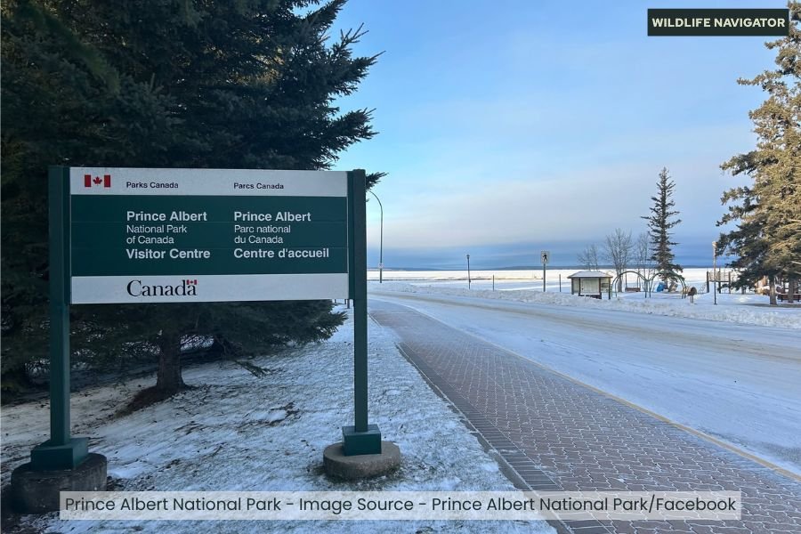 Prince Albert National Park