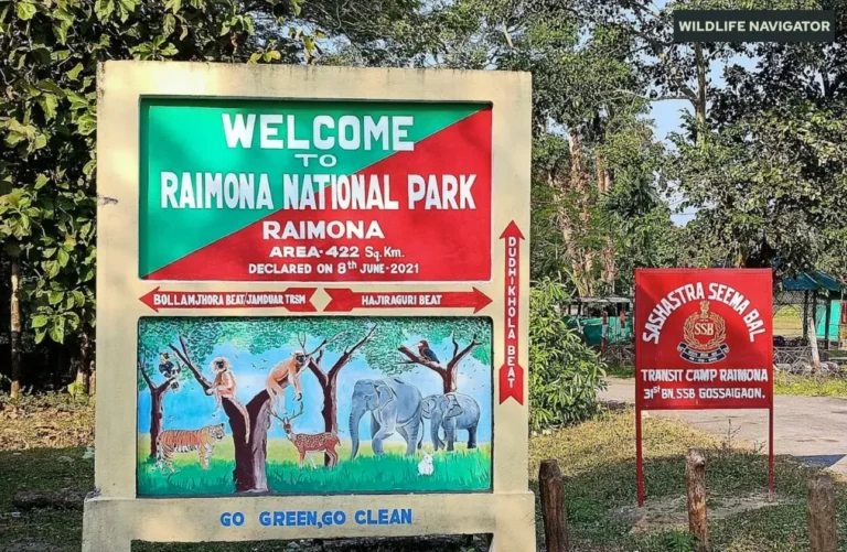 Raimona National Park
