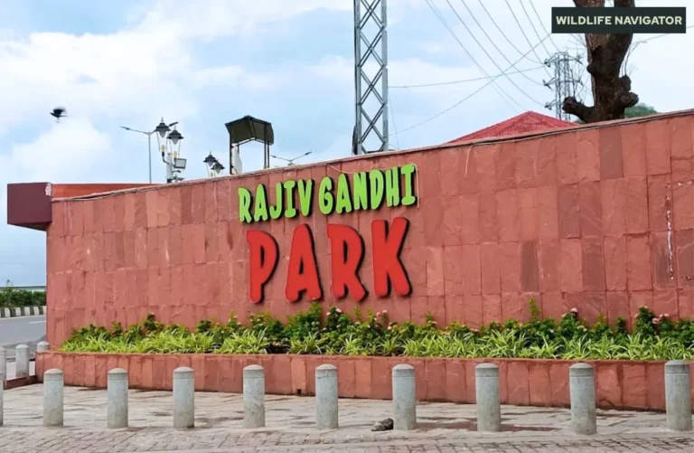 Rajiv Gandhi Park