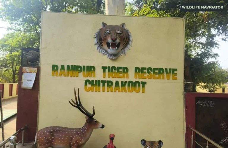 Ranipur Tiger Reserve