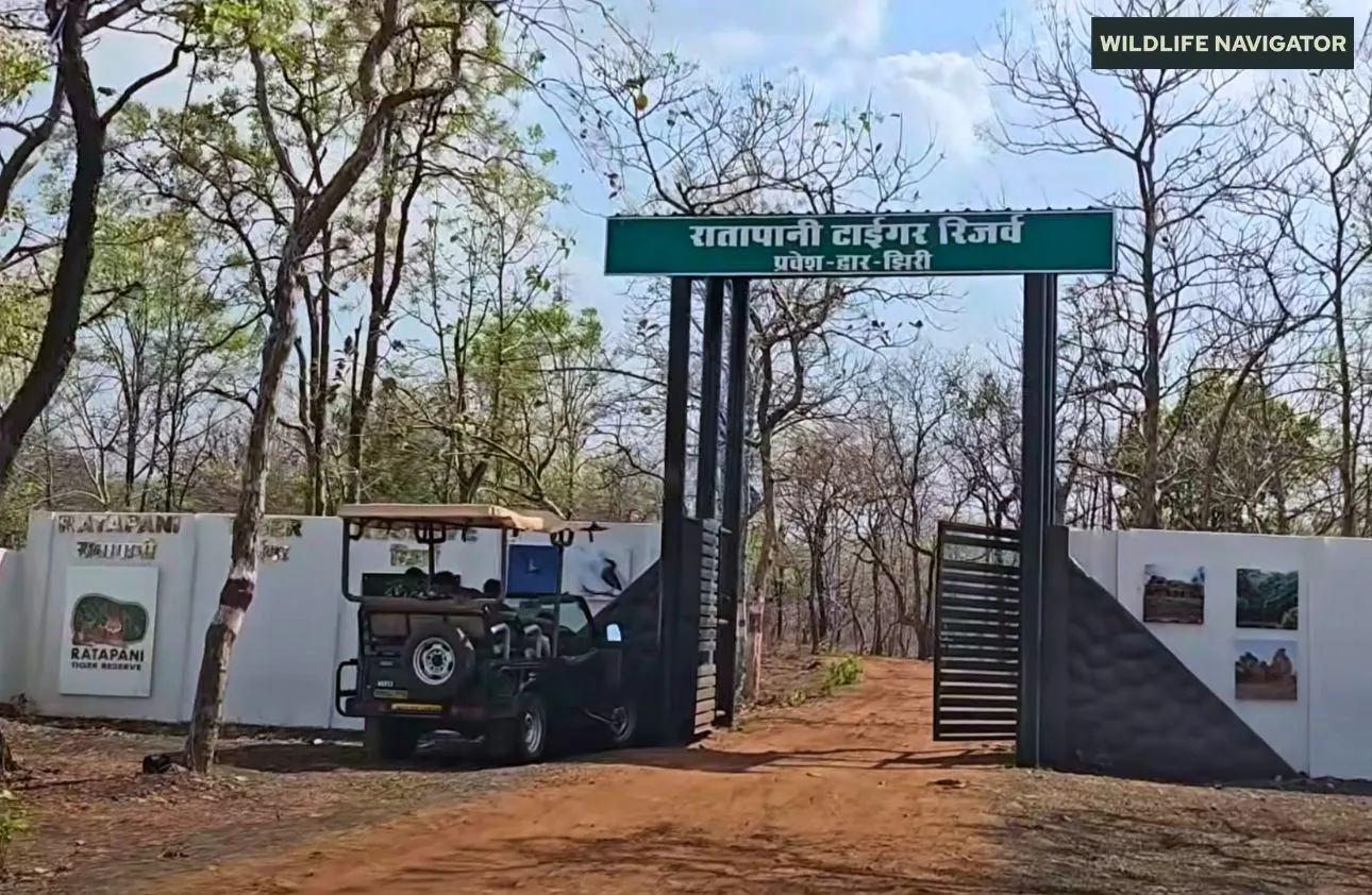 Ratapani Tiger Reserve