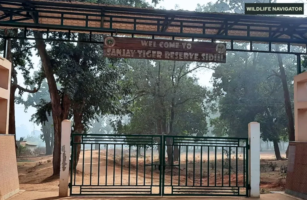Sanjay Dubri Tiger Reserve, Madhya Pradesh, India