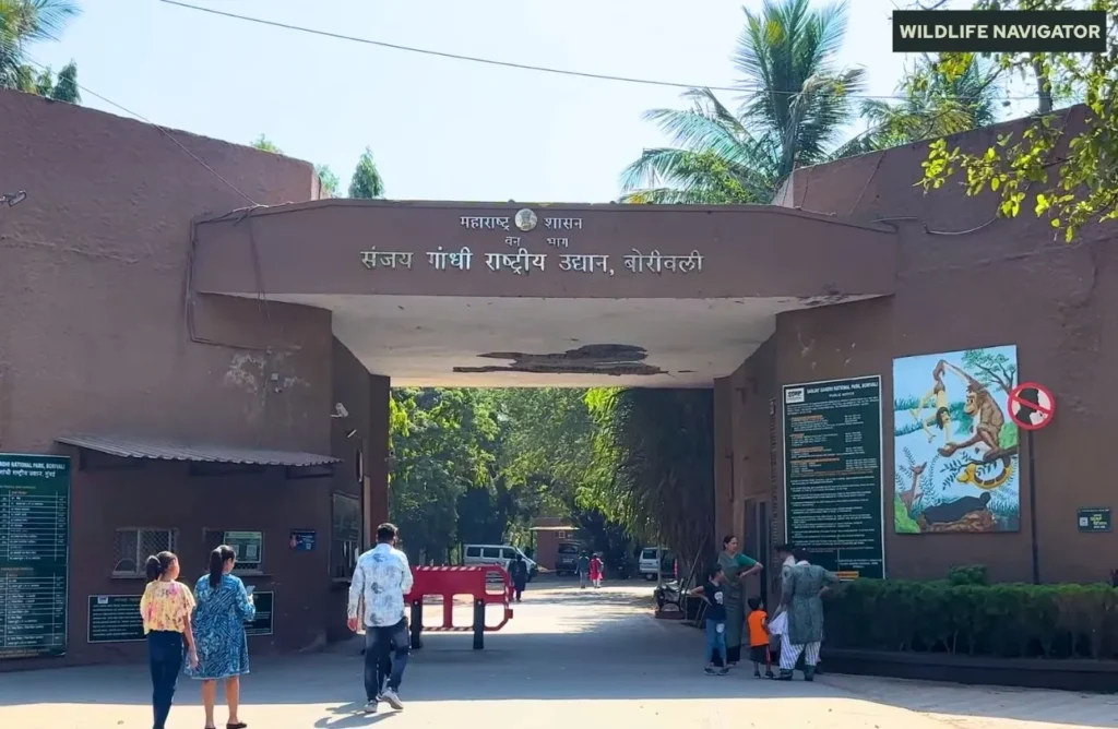 Sanjay Gandhi National Park