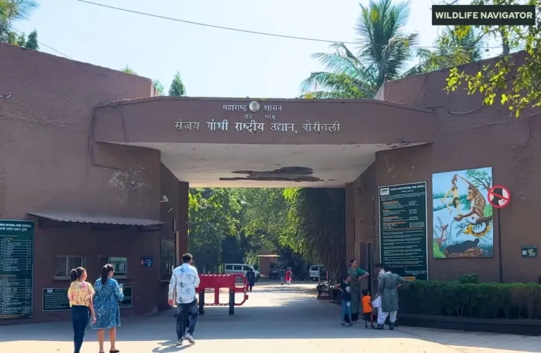 Sanjay Gandhi National Park