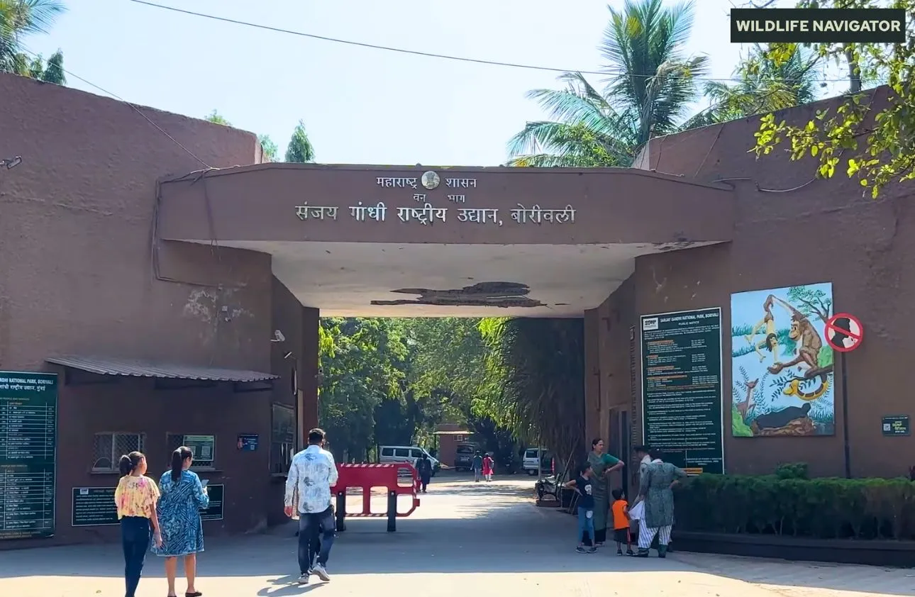 Sanjay Gandhi National Park