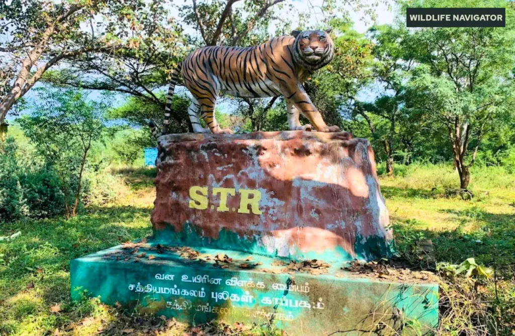 Sathyamangalam Tiger Reserve
