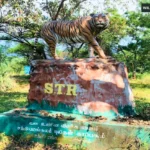Sathyamangalam Tiger Reserve