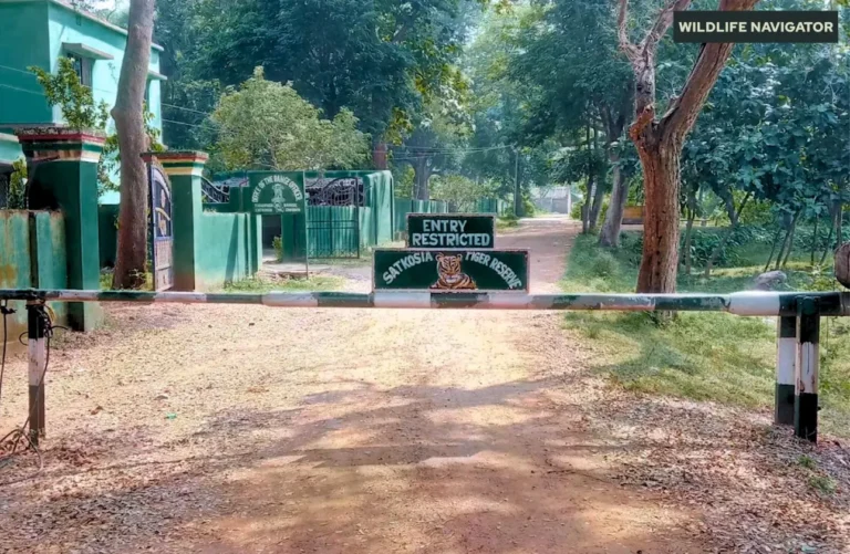 Satkosia Tiger Reserve
