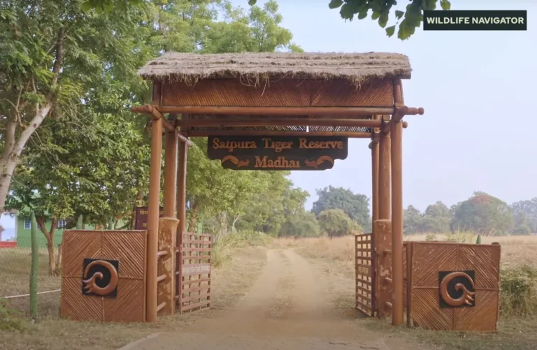 Satpura National Park