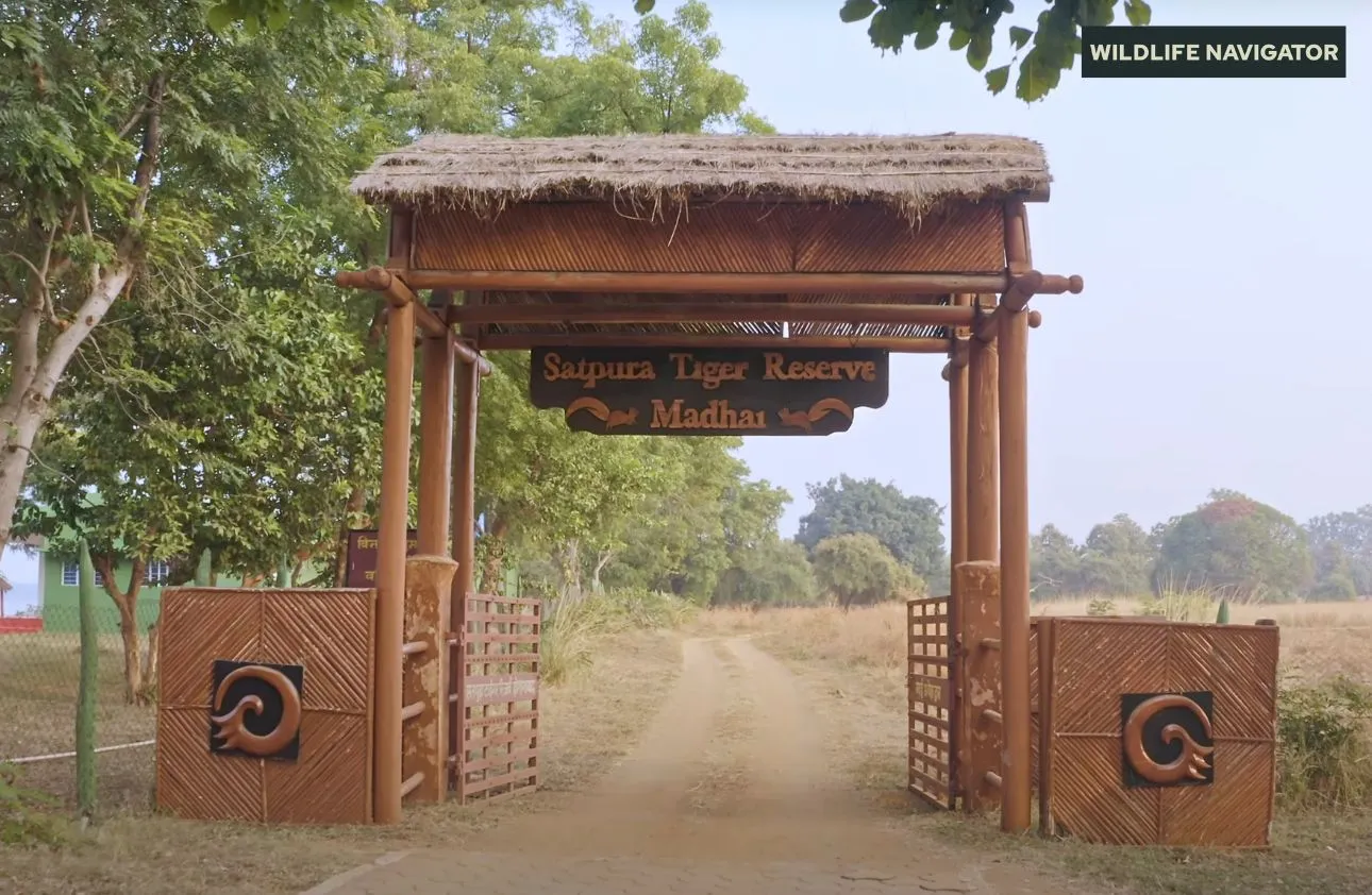 Satpura National Park