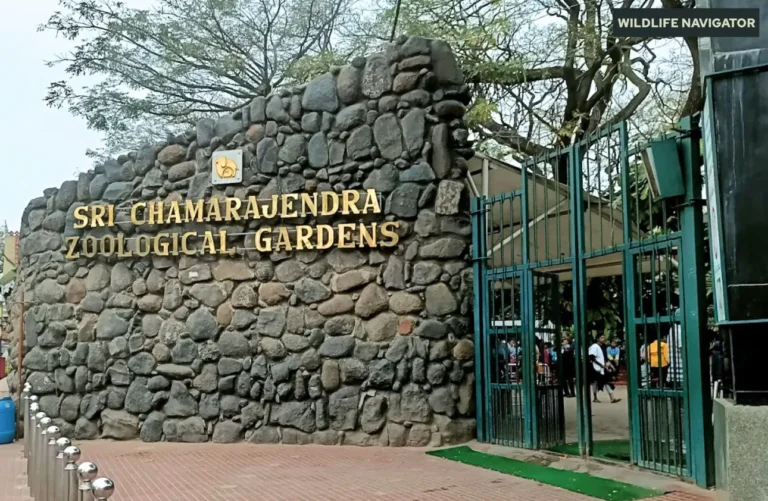 Sri Chamarajendra Zoological Gardens aka Mysore Zoo, Mysuru Zoo
