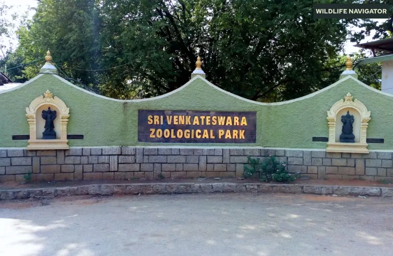 Sri Venkateswara Zoological Park
