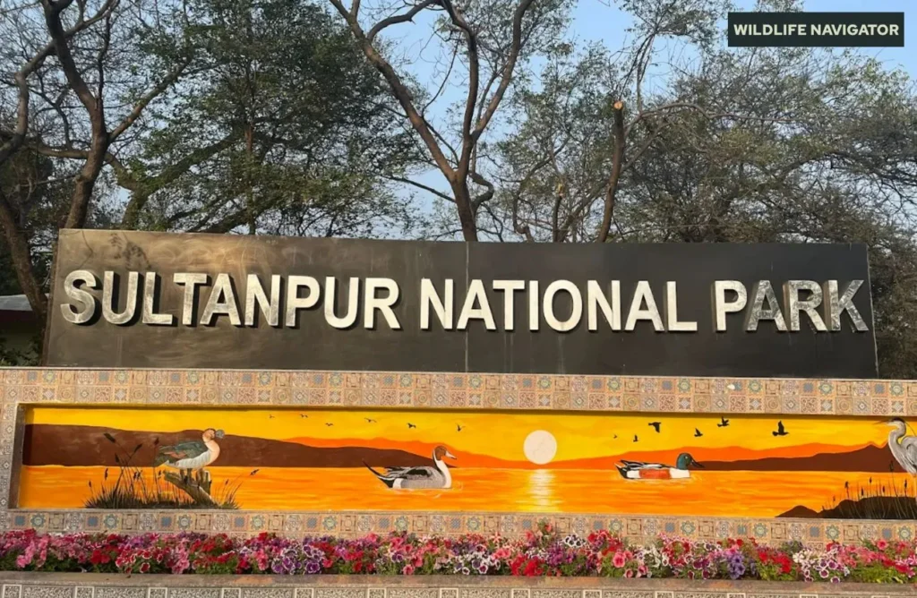 Sultanpur National Park