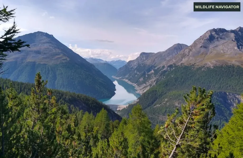 Swiss National Park, Zernez, Switzerland