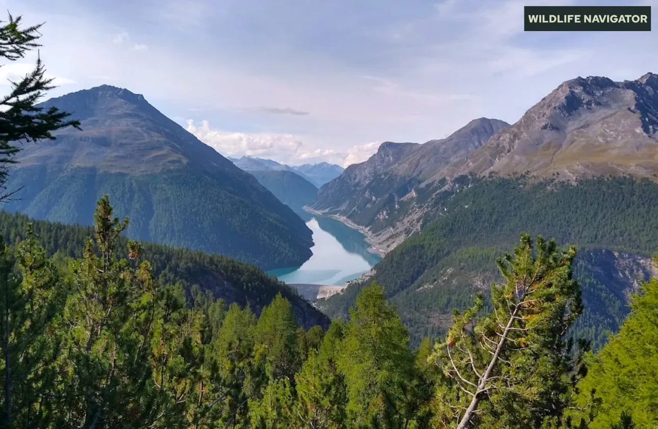Swiss National Park, Zernez, Switzerland