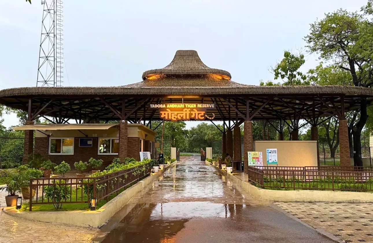 Tadoba Andhari Tiger Reserve