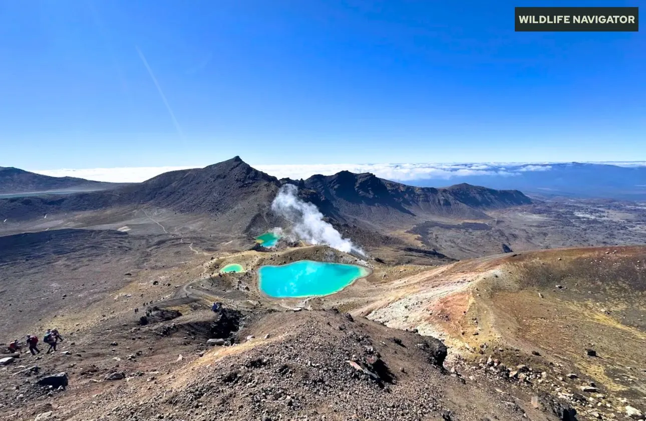 Tongariro National Park – New Zealand