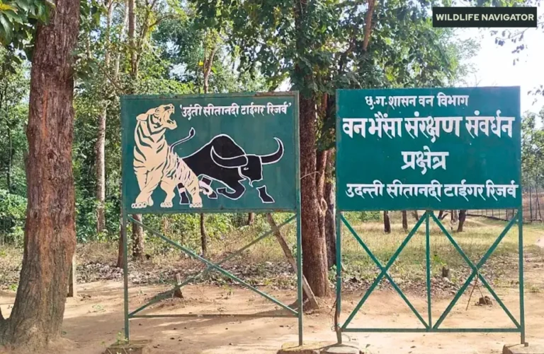 Udanti Sitanadi Tiger Reserve