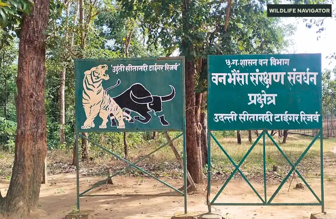 Udanti Sitanadi Tiger Reserve