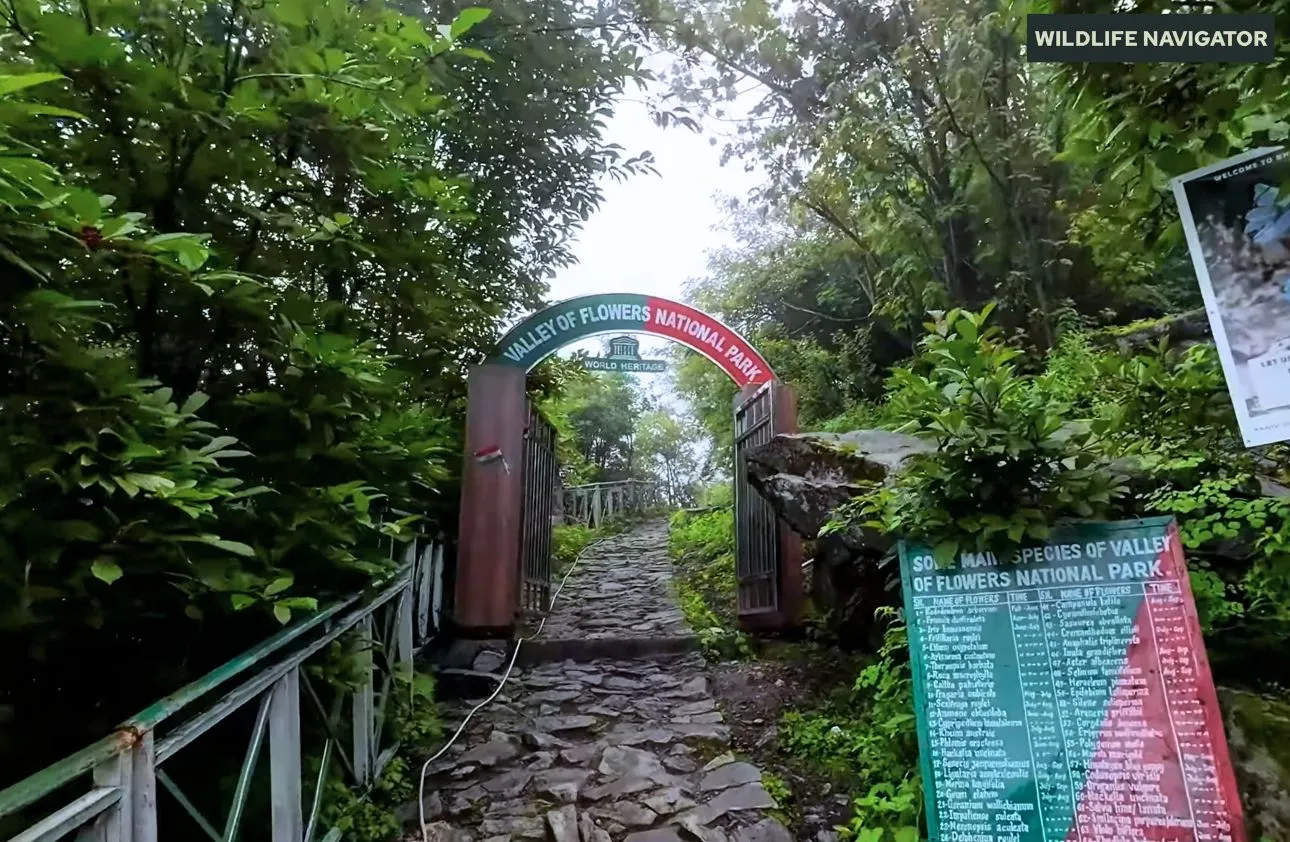 Valley of Flowers National Park