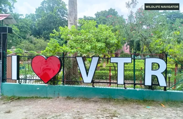 Valmiki Tiger Reserve