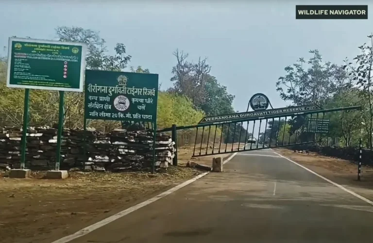 Veerangana Durgavati Tiger Reserve