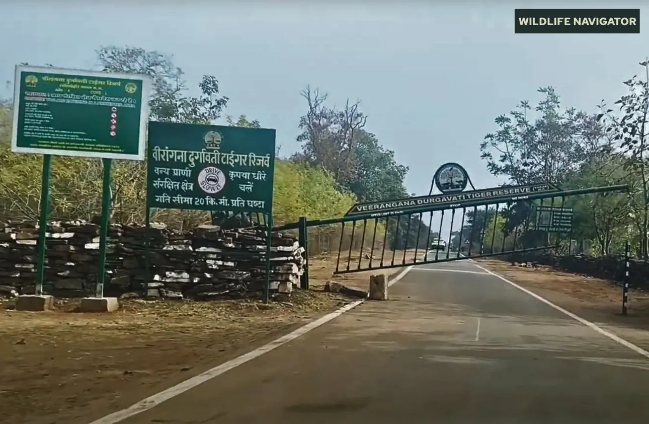 Veerangana Durgavati Tiger Reserve