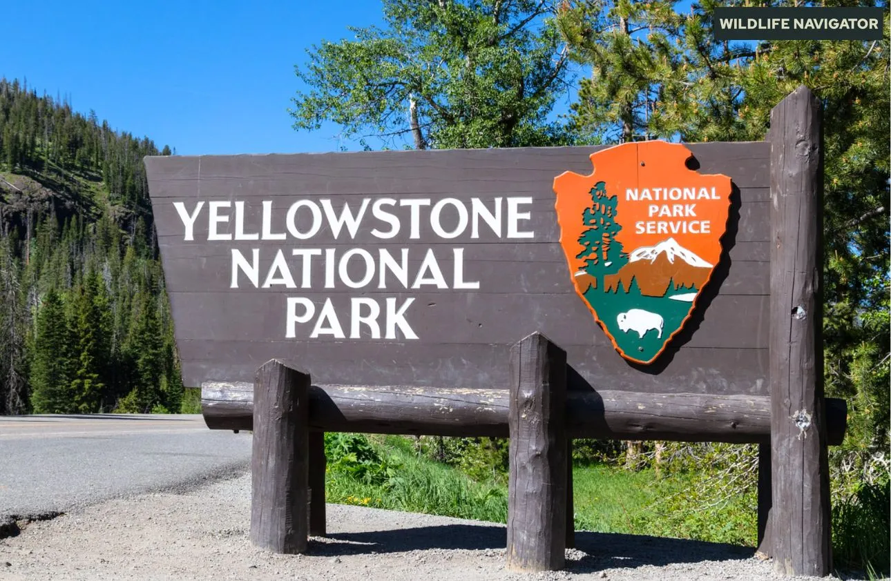 Yellowstone National Park