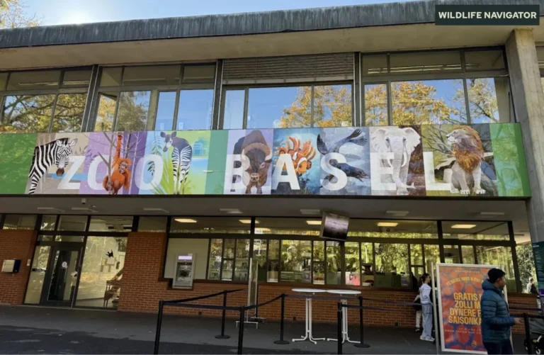 Zoo Basel, Switzerland's Oldest Zoo