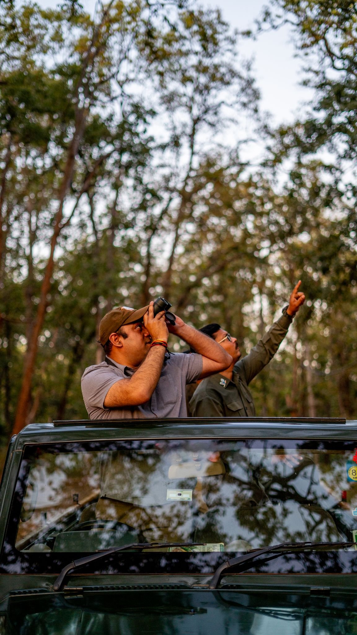 adventurous wildlife safari in indian forest with