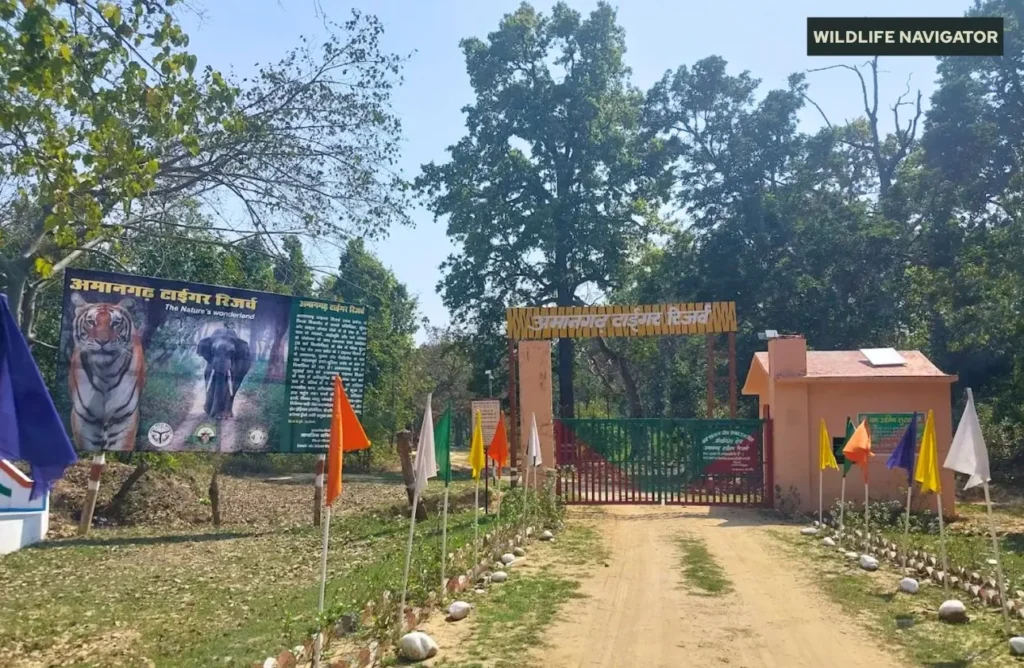 Amangarh Tiger Reserve