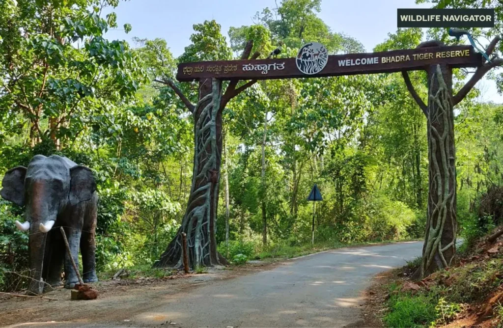 Bhadra Tiger Reserve