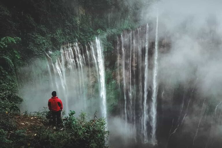 120+ Beautiful, Romantic & Aesthetic Quotes on Rain