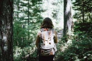 100+ Inspirational Quotes on Wilderness