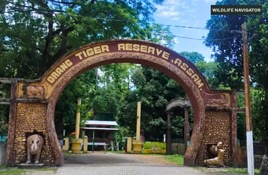 Orang National Park