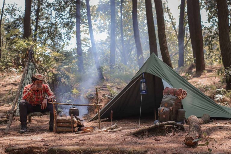 120+ Inspiring Quotes on Woods