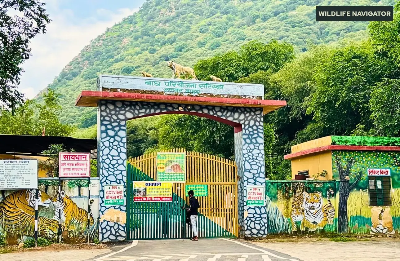 Sariska Tiger Reserve